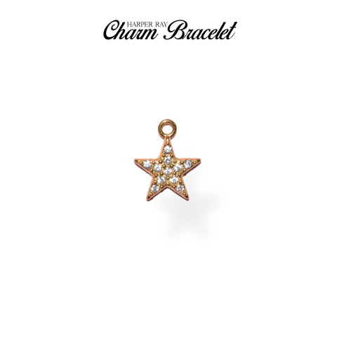 Charm Bracelet Charm - I Get Money I'm A Star